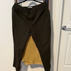 Dress Barn Dark Brown/Olive